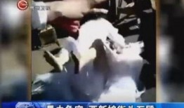 爆料武打视频大全在线观看,海量经典视频在线免费观看